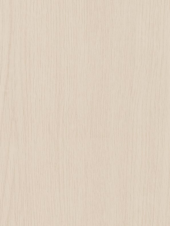 White Birch - 122 cm - houtlook